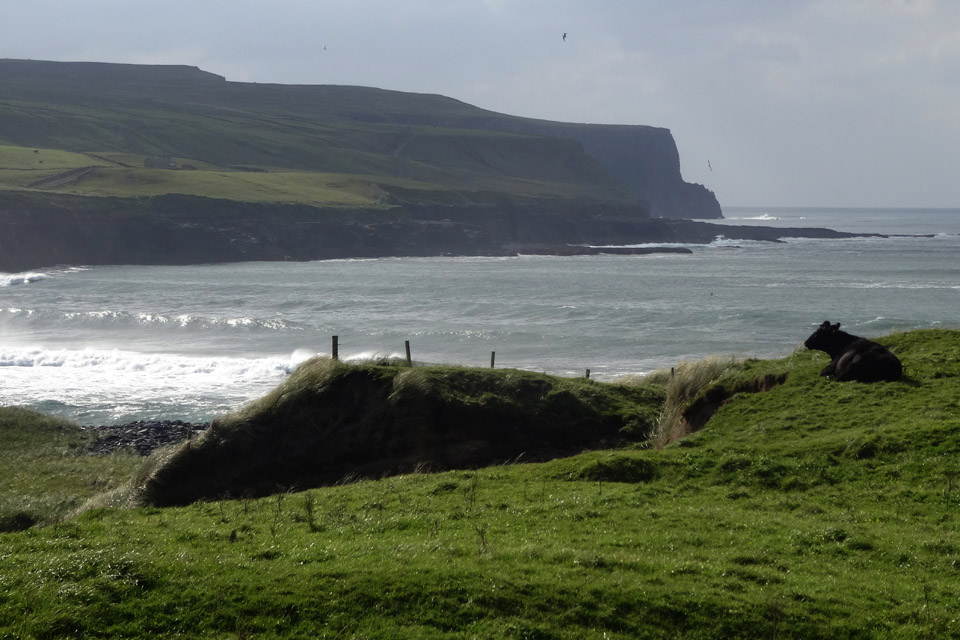 Cliffs of Moher